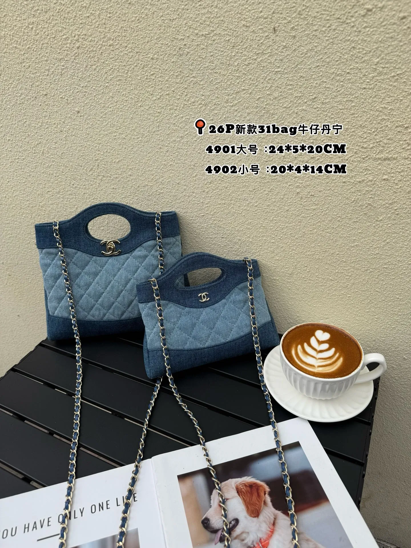 All Categories Chanel Women's Bags (Chanel) Chanel 4901