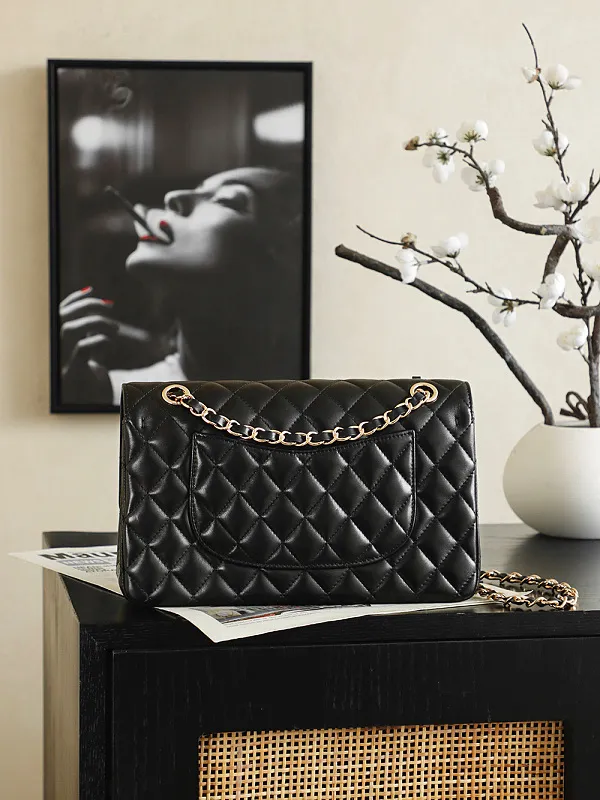 All Categories Chanel Women's Bags 2 (Chanel) Chanel 255