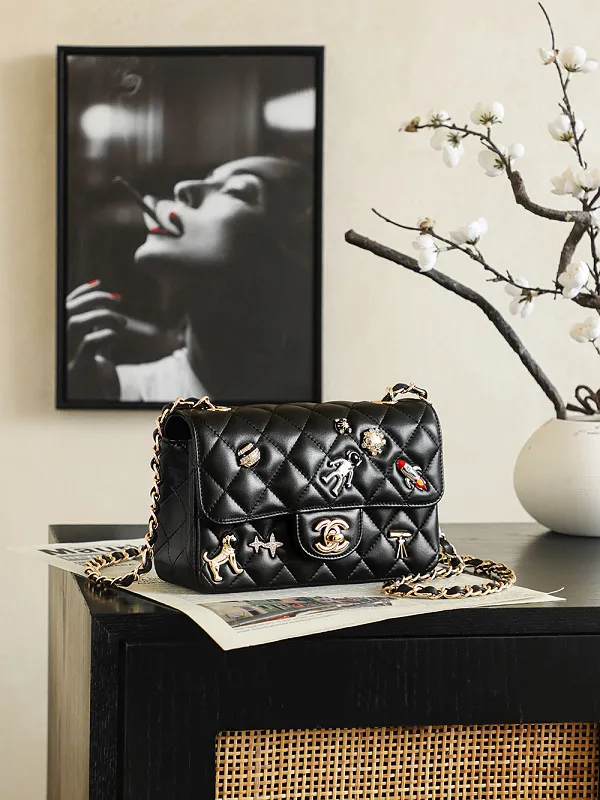 All Categories Chanel Women's Bags 2 (Chanel) Chanel 255