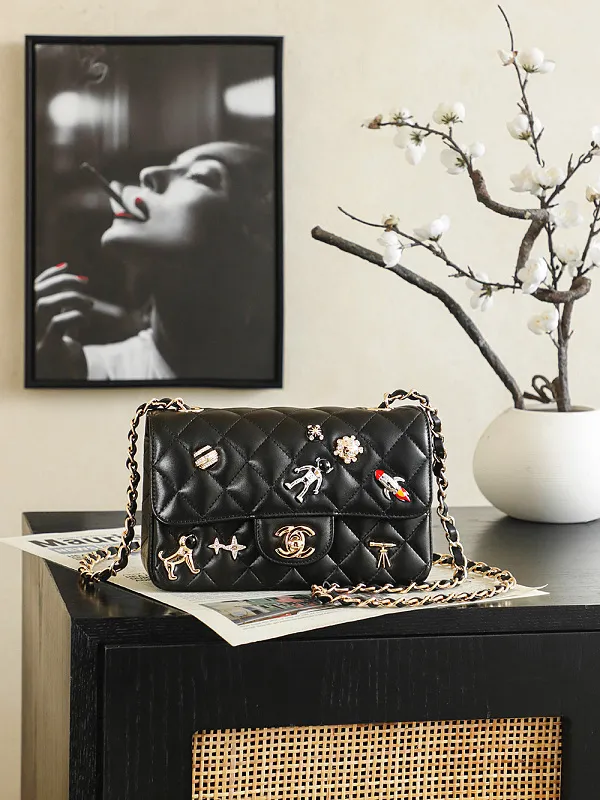 All Categories Chanel Women's Bags 2 (Chanel) Chanel 255