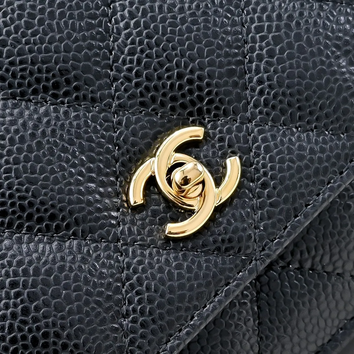 All Categories Chanel Women's Bags (Chanel) Chanel 195