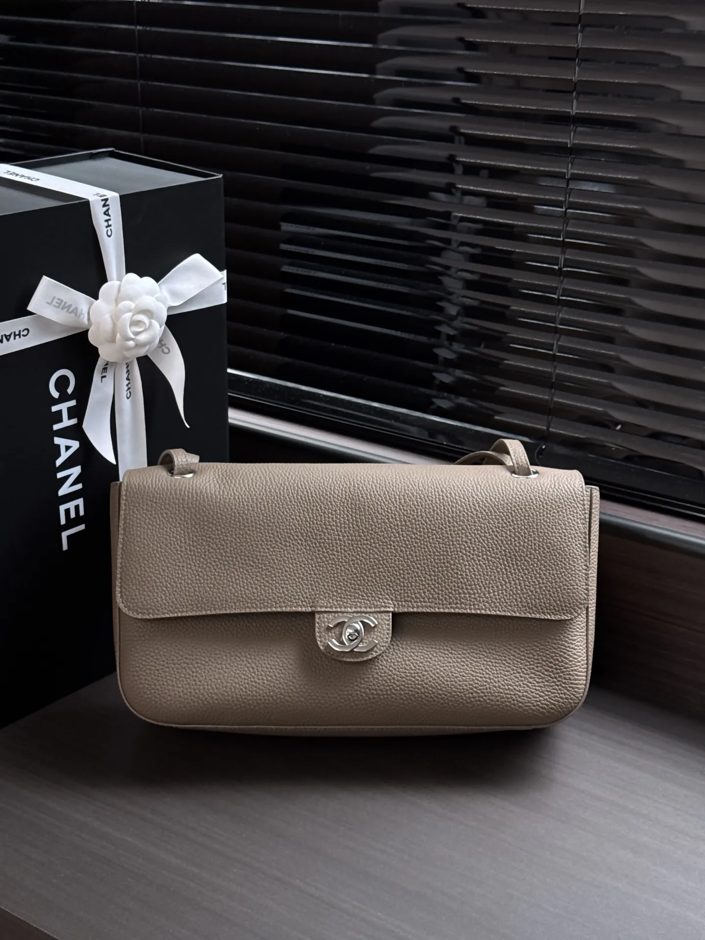 All Categories Chanel Women's Bags (Chanel) Chanel AS6233
