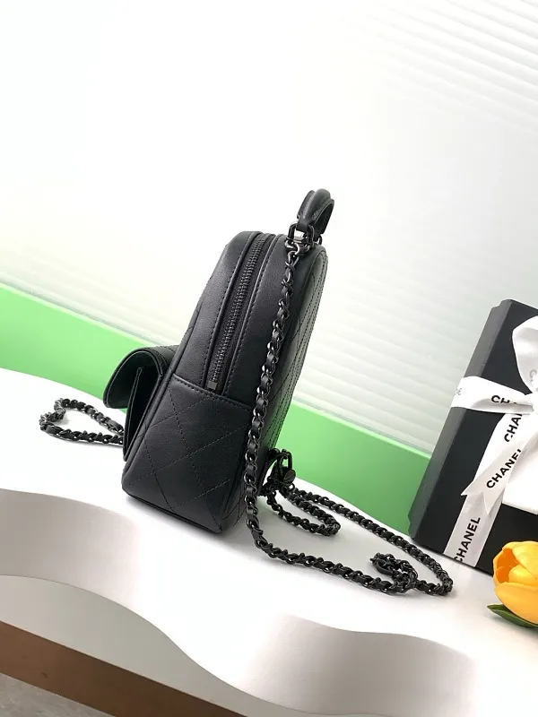 All Categories Chanel Women's Bags 2 (Chanel) Chanel Original Order AP3843