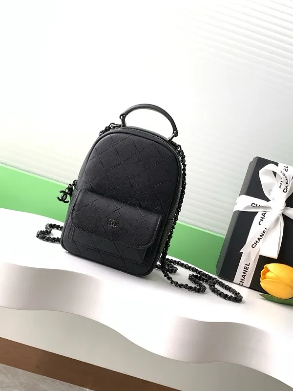 All Categories Chanel Women's Bags 2 (Chanel) Chanel Original Order AP3843