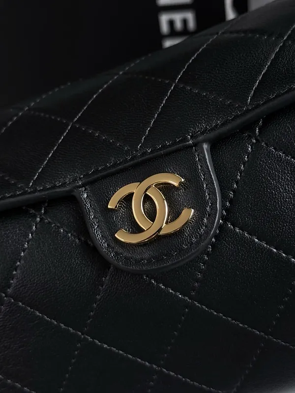 All Categories Chanel Women's Bags (Chanel) Chanel AP5384