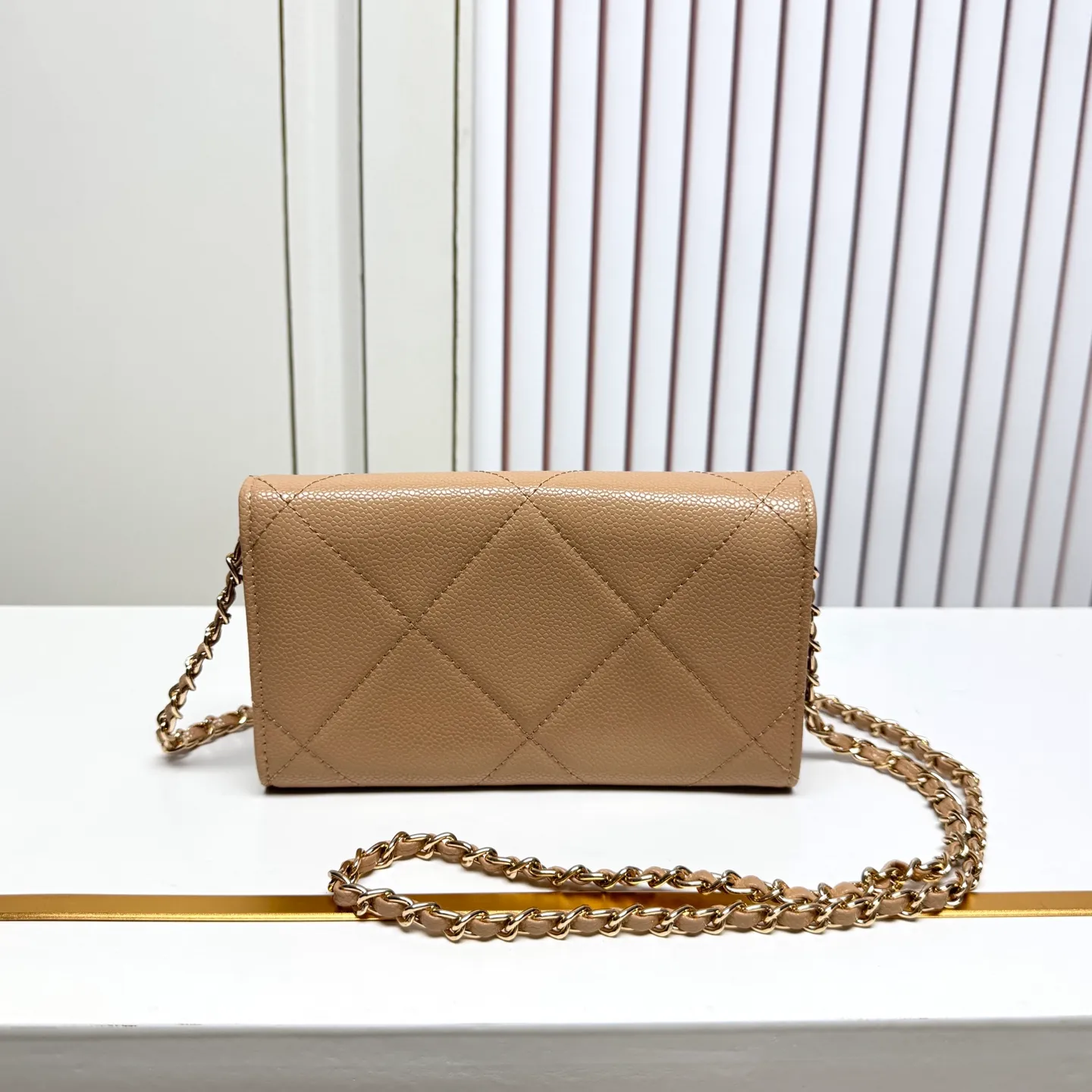 All Categories Chanel Women's Bags (Chanel) Chanel 50080-2