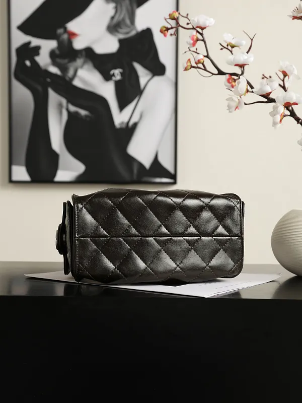 All Categories Chanel Women's Bags (Chanel) Chanel Original Order 5631