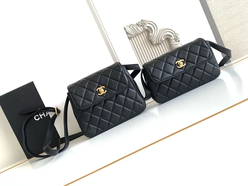 All Categories Chanel Women's Bag 2 (Chanel) Chanel Original Order L4679