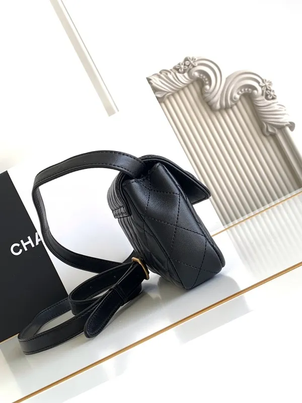 All Categories Chanel Women's Bag 2 (Chanel) Chanel Original Order L4679