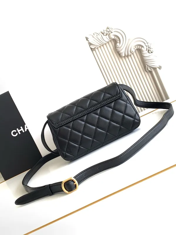 All Categories Chanel Women's Bag 2 (Chanel) Chanel Original Order L4679