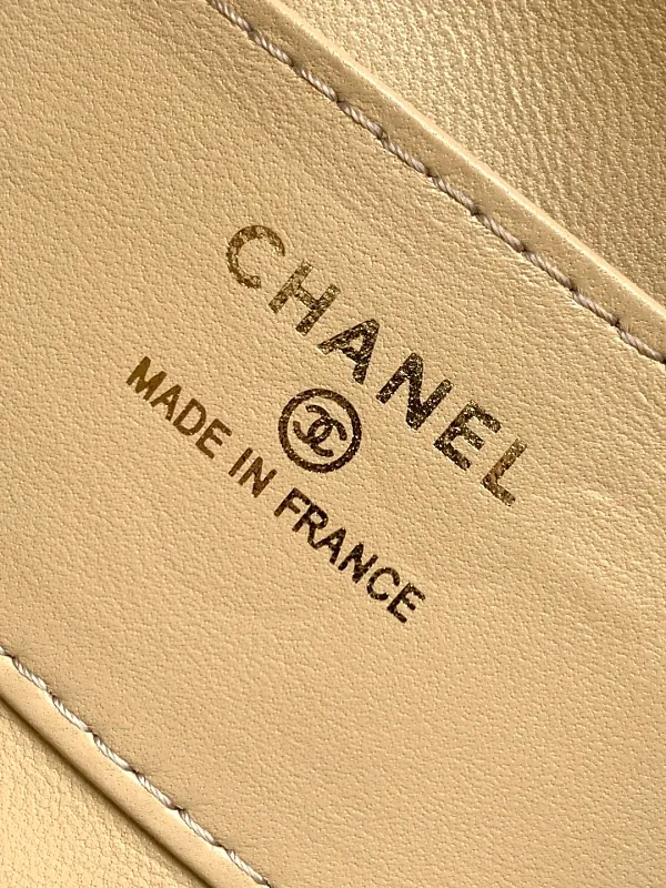 All Categories Chanel Women's Bag 2 (Chanel) Chanel Original Order L4679