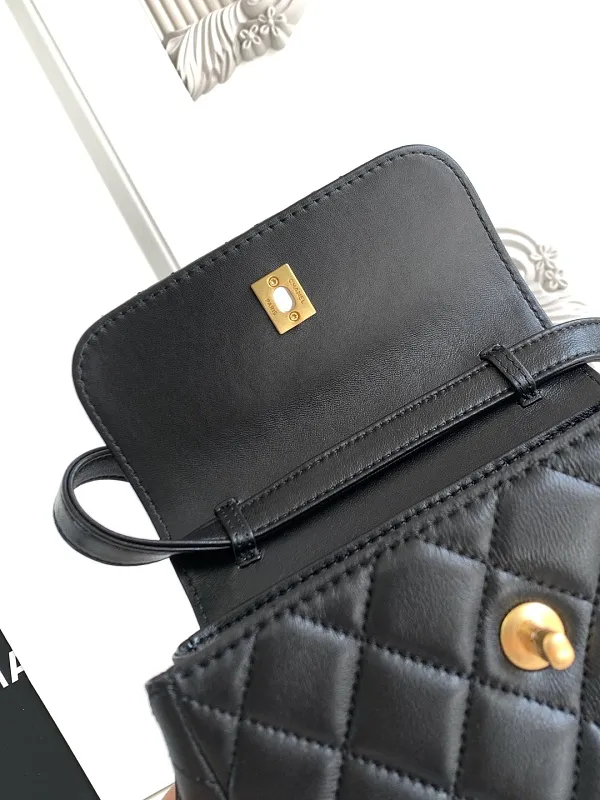 All Categories Chanel Women's Bag 2 (Chanel) Chanel Original Order L4679