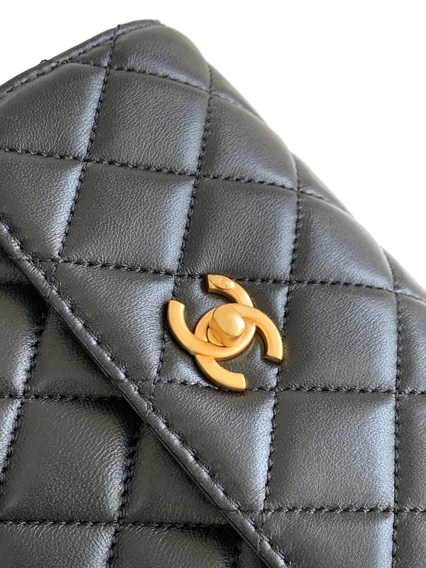 All Categories Chanel Women's Bag 2 (Chanel) Chanel Original Order L4679