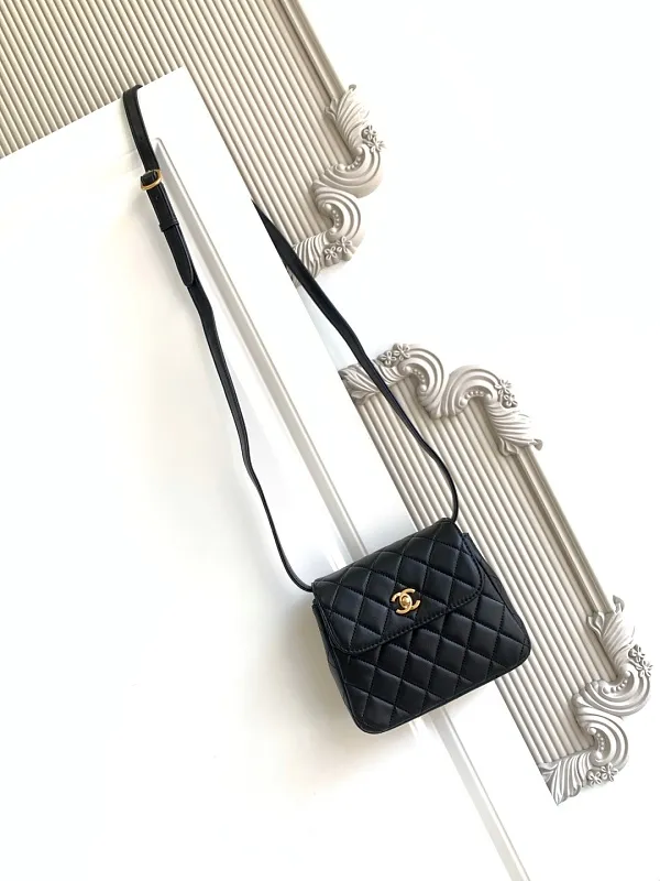 All Categories Chanel Women's Bag 2 (Chanel) Chanel Original Order L4679