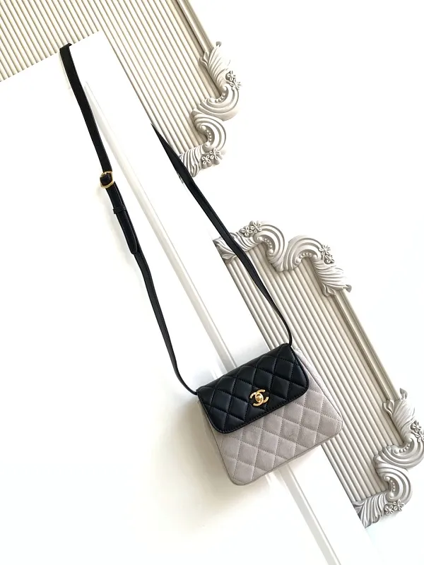 All Categories Chanel Women's Bag 2 (Chanel) Chanel Original Order L4679
