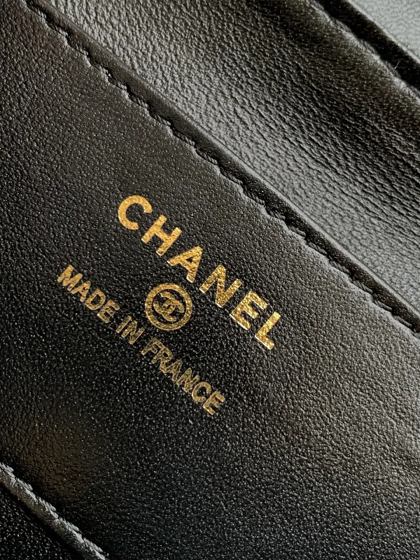 All Categories Chanel Women's Bag 2 (Chanel) Chanel Original Order L4679