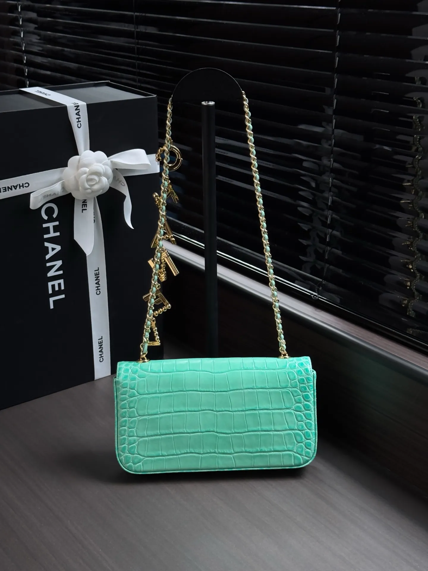 All Categories Chanel Women's Bags (Chanel) Chanel AS6340