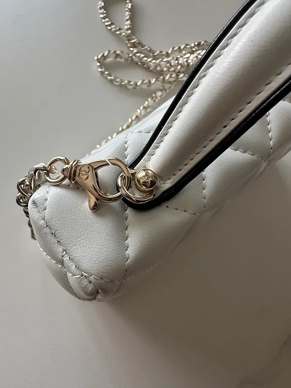 All Categories Chanel Women's Bags 2 (Chanel) Chanel Original Order AP5330