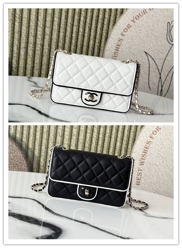 All Categories Chanel Women's Bags 2 (Chanel) Chanel Original Order 66031