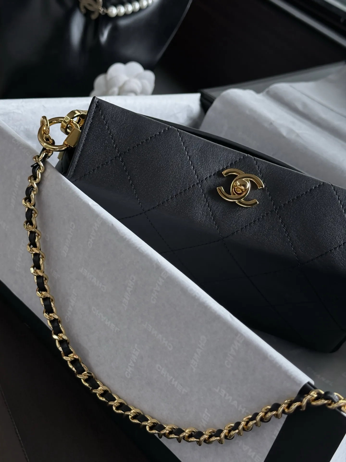 All Categories Chanel Women's Bag 2 (Chanel) Chanel Original Order AS6255