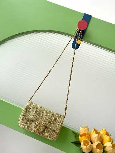 All Categories Chanel Women's Bags (Chanel) Chanel AS5279