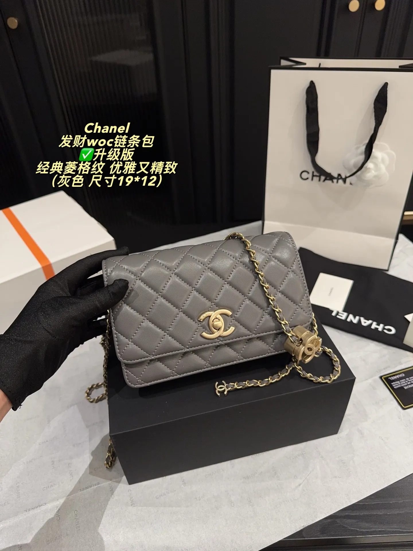 All Categories Official Website "Brand Women's Bags" Women's Bags 💙 Chanel 2025 New CHANEL Crossbody Bag