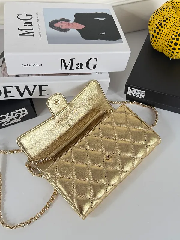 All Categories Chanel Women's Bags (Chanel) Chanel 50076