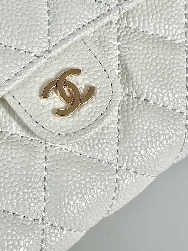 All Categories Chanel Women's Bags (Chanel) Chanel 50076