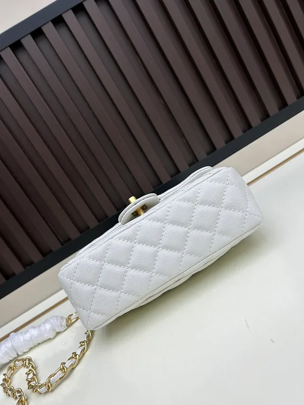 All Categories Chanel Women's Bags (Chanel) Chanel C020