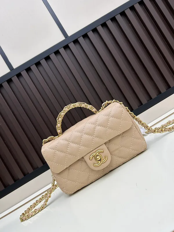 All Categories Chanel Women's Bags (Chanel) Chanel C020
