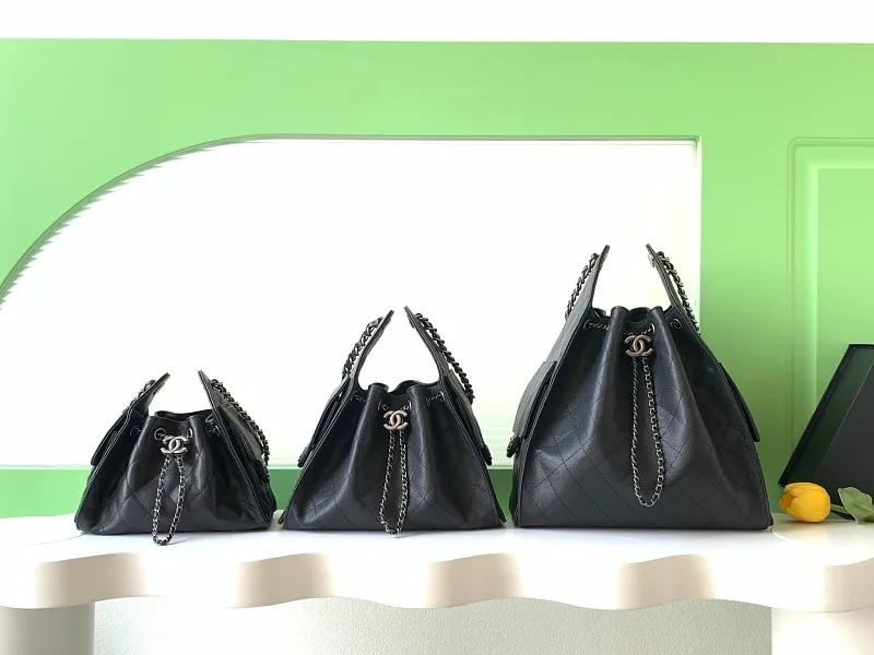 All Categories Chanel Women's Bags (Chanel) Chanel AS5311
