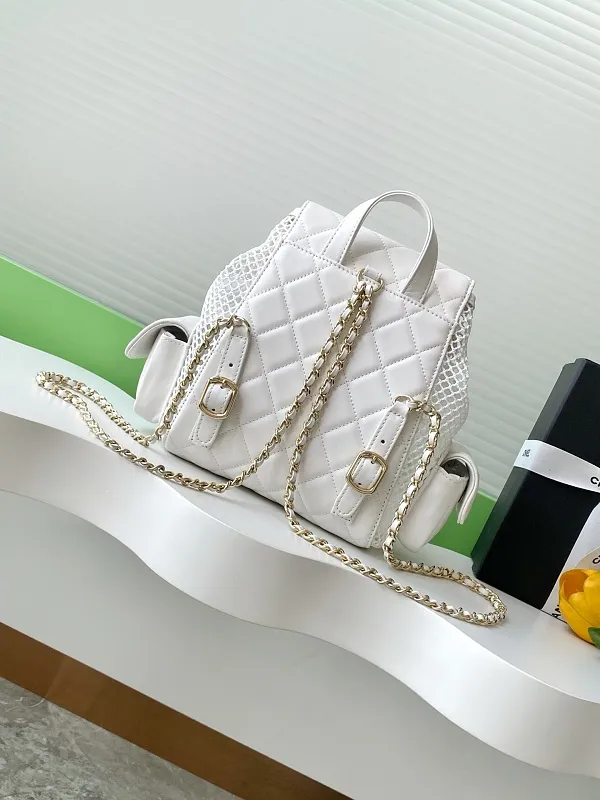 All Categories Chanel Women's Bags 2 (Chanel) Chanel Original Order AS5484