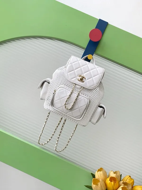 All Categories Chanel Women's Bags 2 (Chanel) Chanel Original Order AS5484