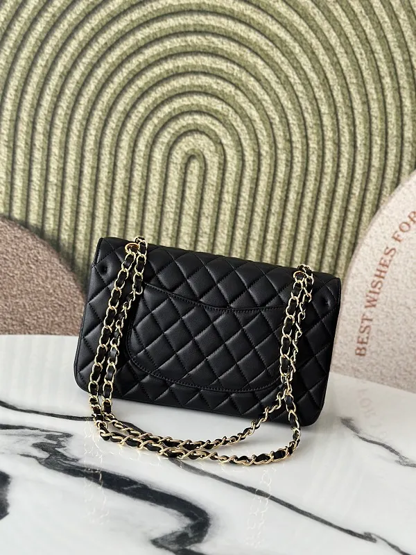 All Categories Chanel Women's Bags (Chanel) Chanel AS1112