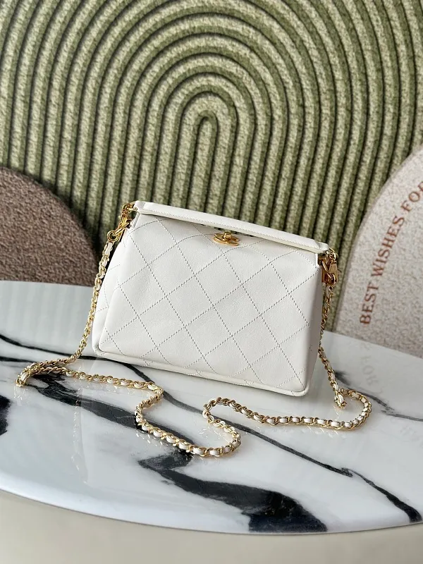 All Categories Chanel Women's Bags (Chanel) Chanel AS6255