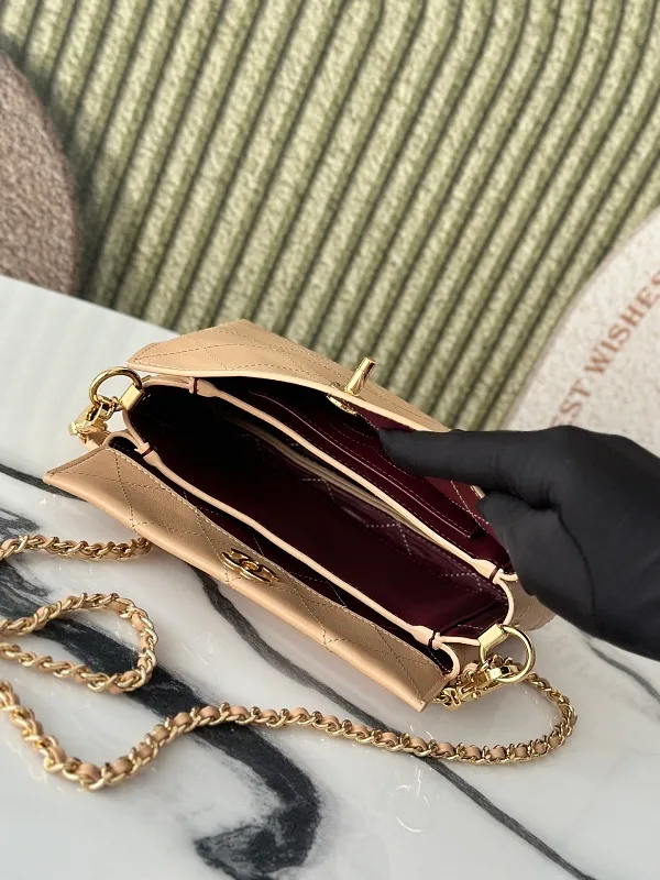 All Categories Chanel Women's Bags (Chanel) Chanel AS6255