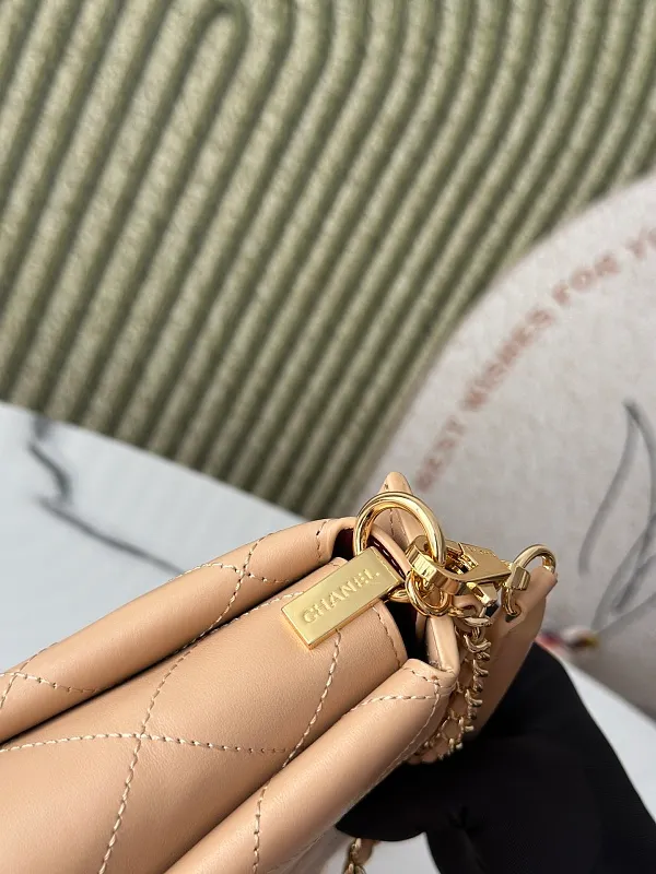 All Categories Chanel Women's Bags (Chanel) Chanel AS6255