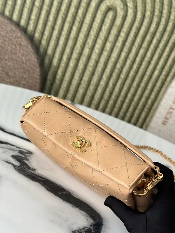 All Categories Chanel Women's Bags (Chanel) Chanel AS6255