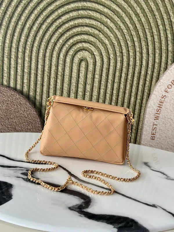 All Categories Chanel Women's Bags (Chanel) Chanel AS6255
