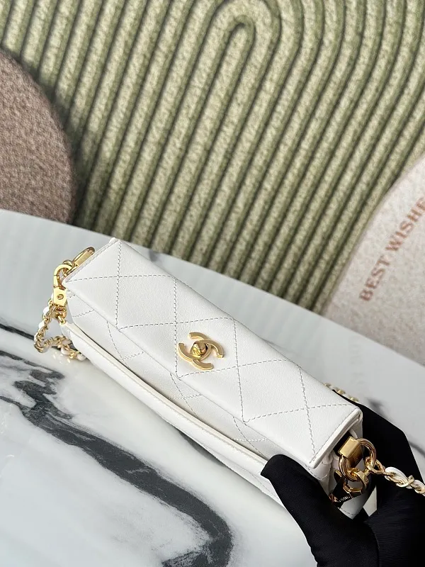 All Categories Chanel Women's Bags (Chanel) Chanel AS6255