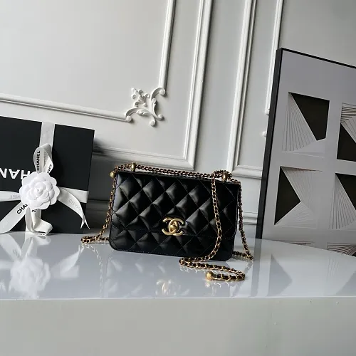 All Categories Chanel Women's Bag 2 (Chanel) Chanel Original Order AS2649