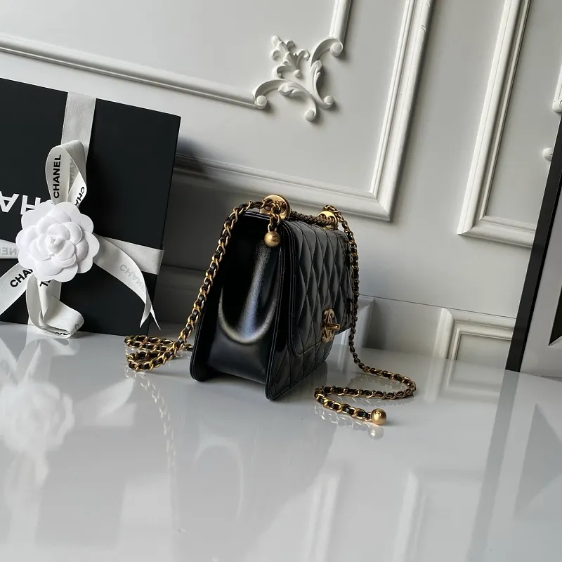 All Categories Chanel Women's Bag 2 (Chanel) Chanel Original Order AS2649