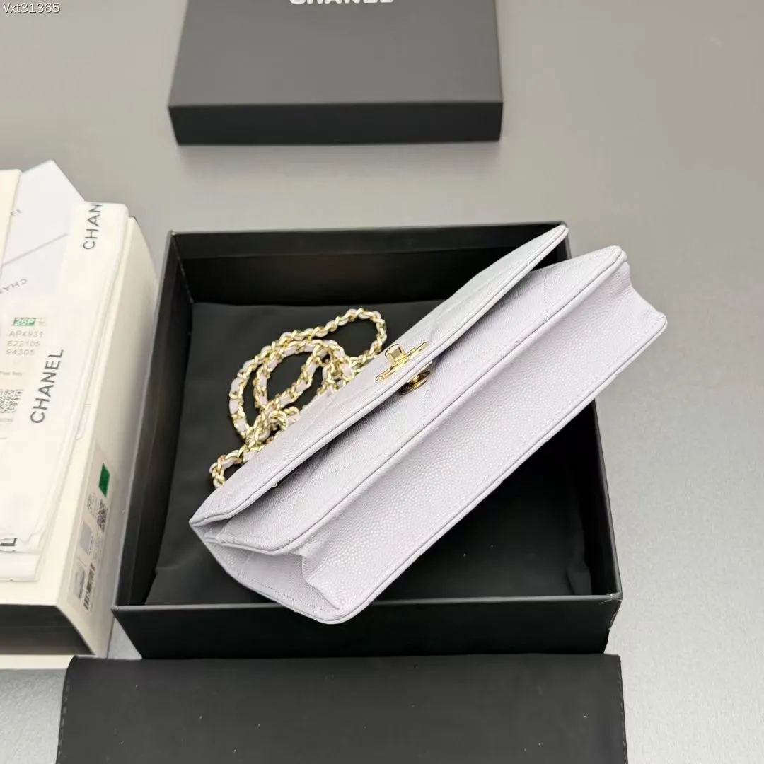 All Categories Chanel Women's Bags (Chanel) Chanel AP493