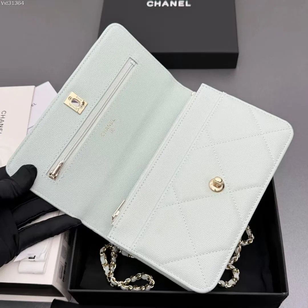 All Categories Chanel Women's Bags (Chanel) Chanel AP493
