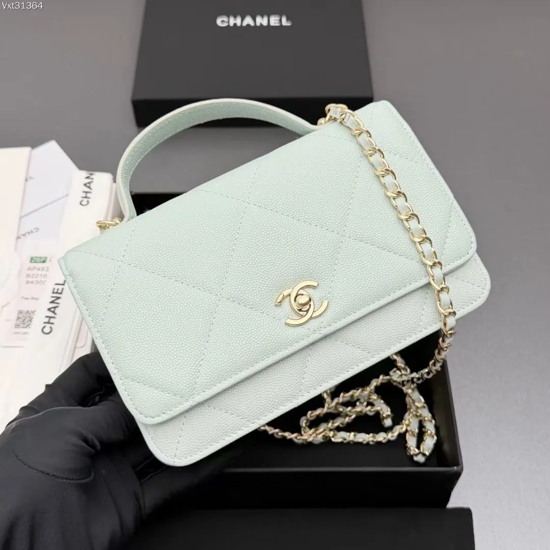 All Categories Chanel Women's Bags (Chanel) Chanel AP493