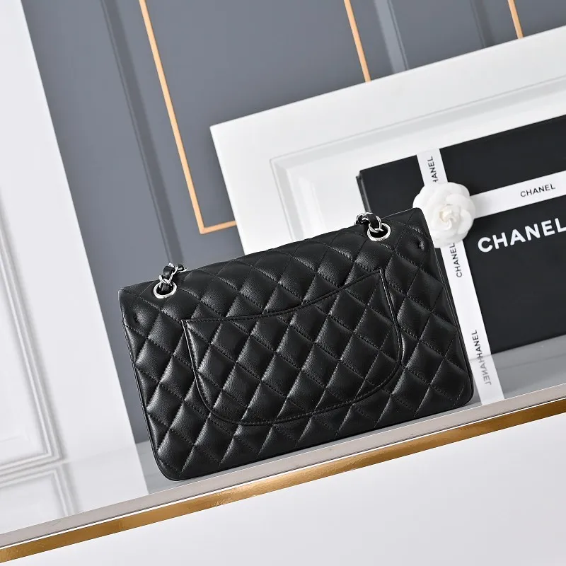 All Categories Chanel Women's Bags 2 (Chanel) Chanel Original Order 1113 Small Size