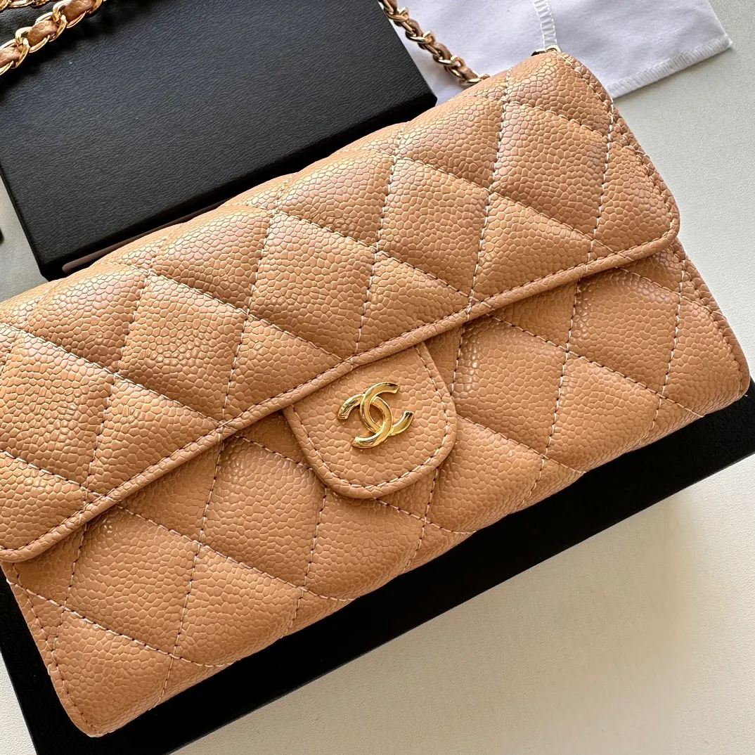 All Categories Chanel Women's Bags (Chanel) Chanel A50076