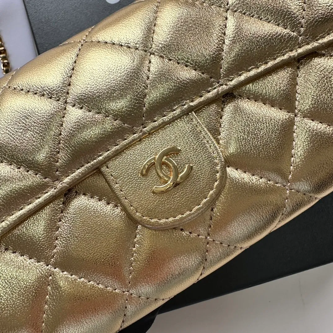 All Categories Chanel Women's Bags (Chanel) Chanel A50076