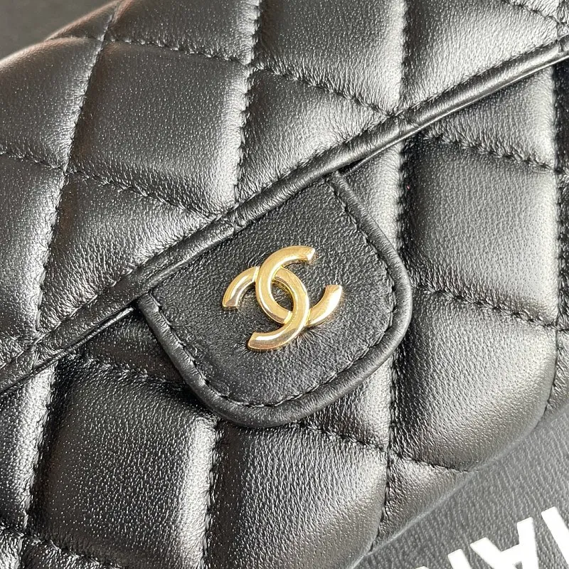 All Categories Chanel Women's Bags (Chanel) Chanel A50076
