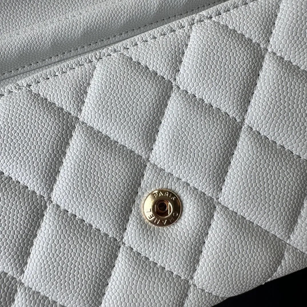 All Categories Chanel Women's Bags (Chanel) Chanel A50076